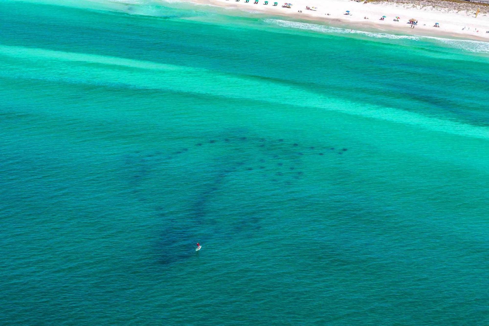 Stay Anchored Destin Eksteriør billede